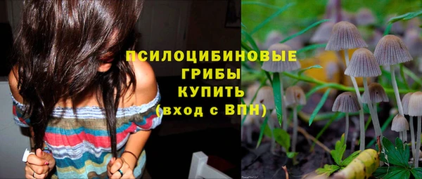 мдма Инта