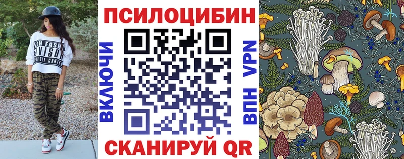 Галлюциногенные грибы мицелий  Купить  Касли 
